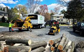 Lakeview, CA  Tree Services Company